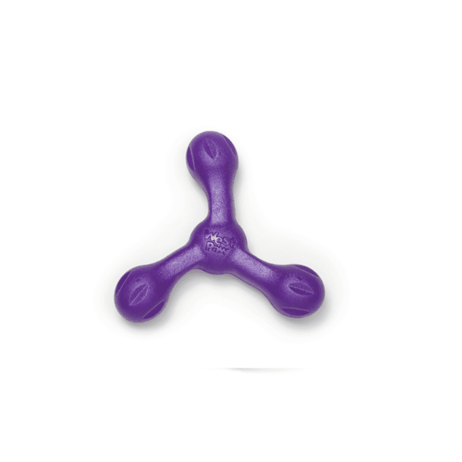 Biogance Skamp Violet gioco cane viola da lancio resistente