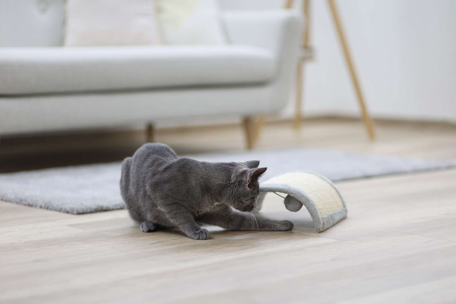Kerbl Pet Half Moon tavola tiragraffi gatto in sisal