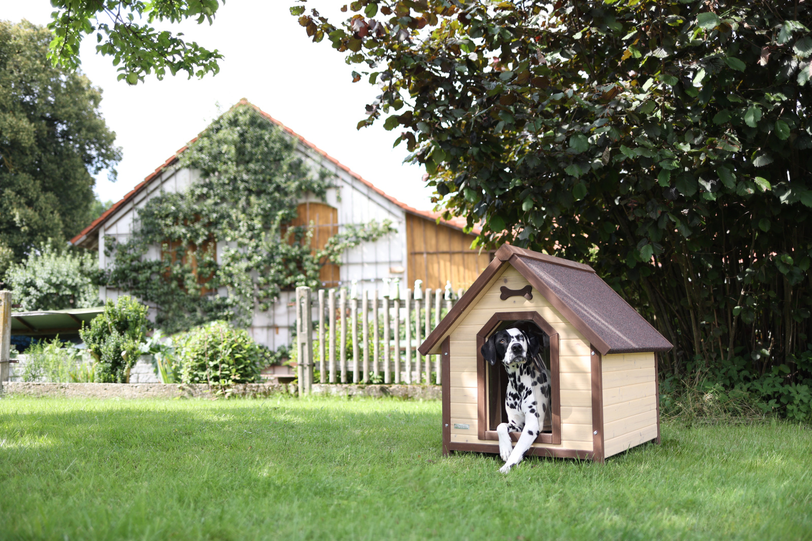 Kerbl Pet Dog House 4-Seasons cuccia cane esterno legno isolata