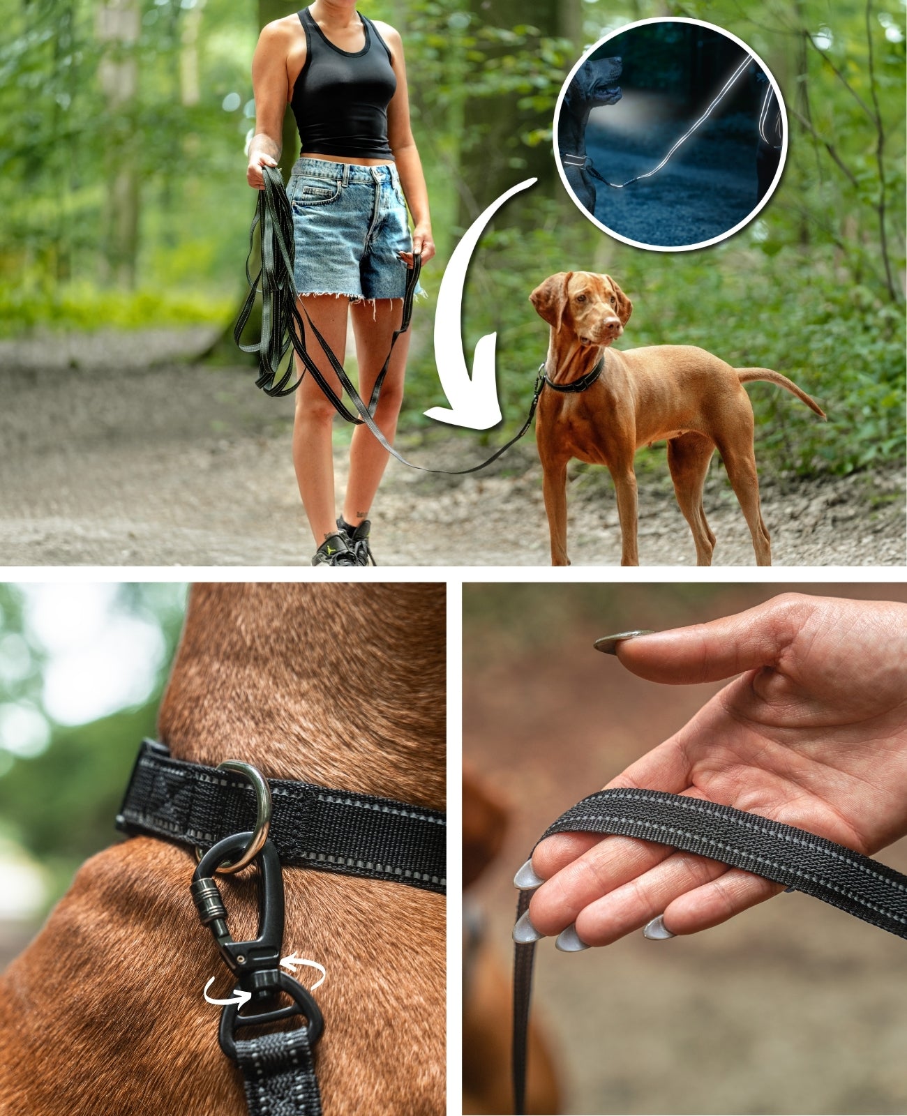 Lionto Hunde-Spaziergang lunghina gommata cani 5 m riflettente