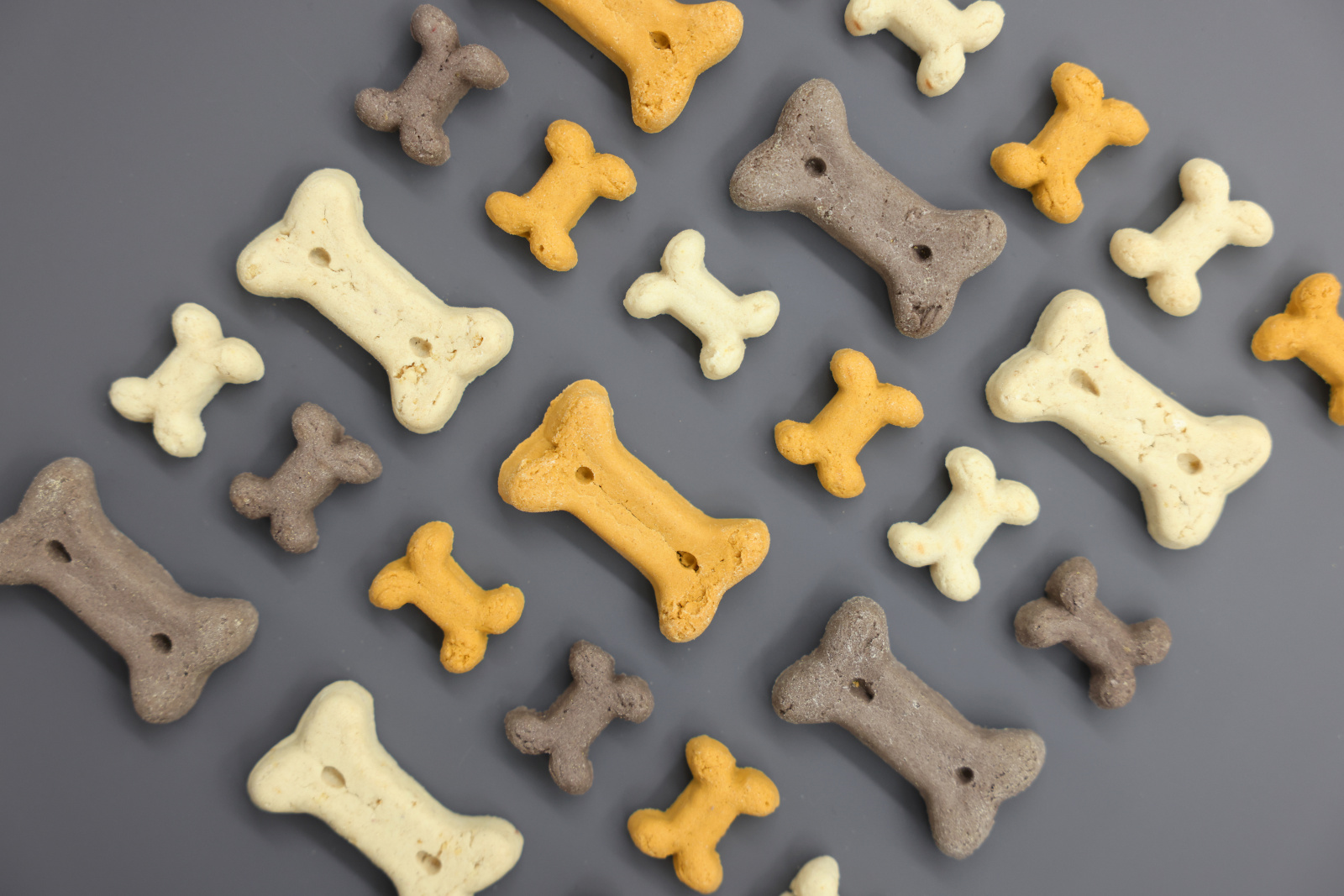 Kerbl Pet Rewards Biscuits Junior Mix Snack Cuccioli Vaniglia