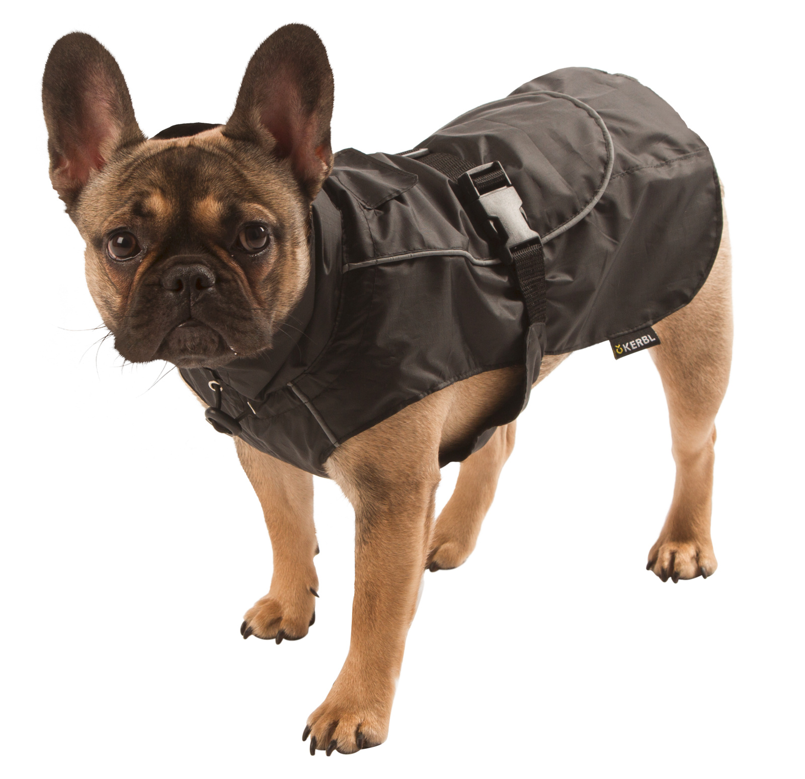 Kerbl Pet Raincoat Forks impermeabile cane poliestere