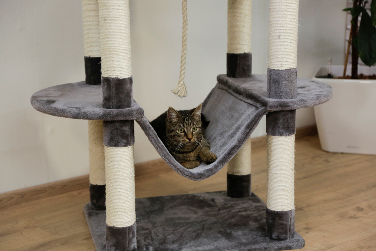 Kerbl Pet Matteo Albero Tiragraffi Gatto con Amaca Sisal