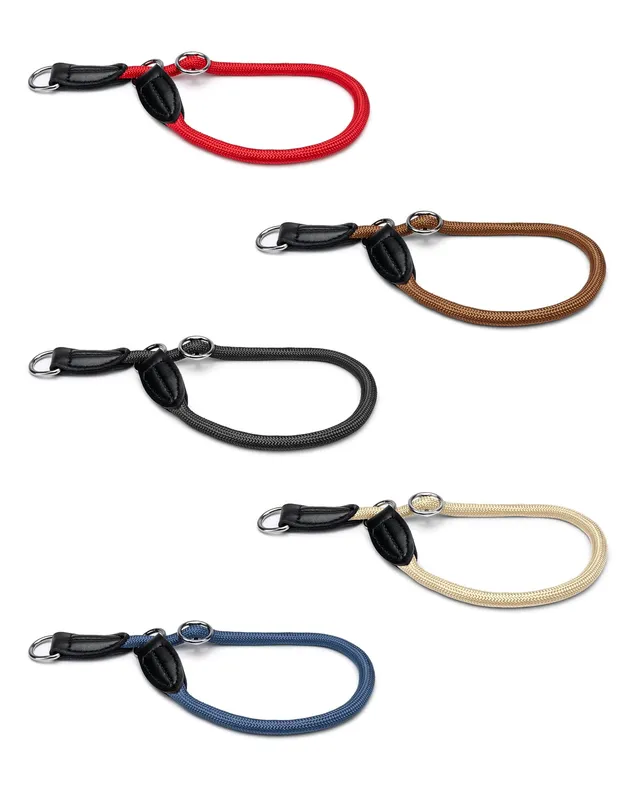 Lionto Hunde-Spaziergang collare semistrozzo 45 cm nylon nero
