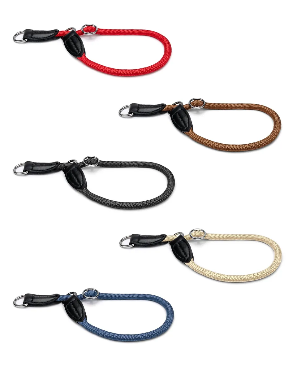 Lionto Hunde-Spaziergang collare semistrozzo 45 cm nylon nero