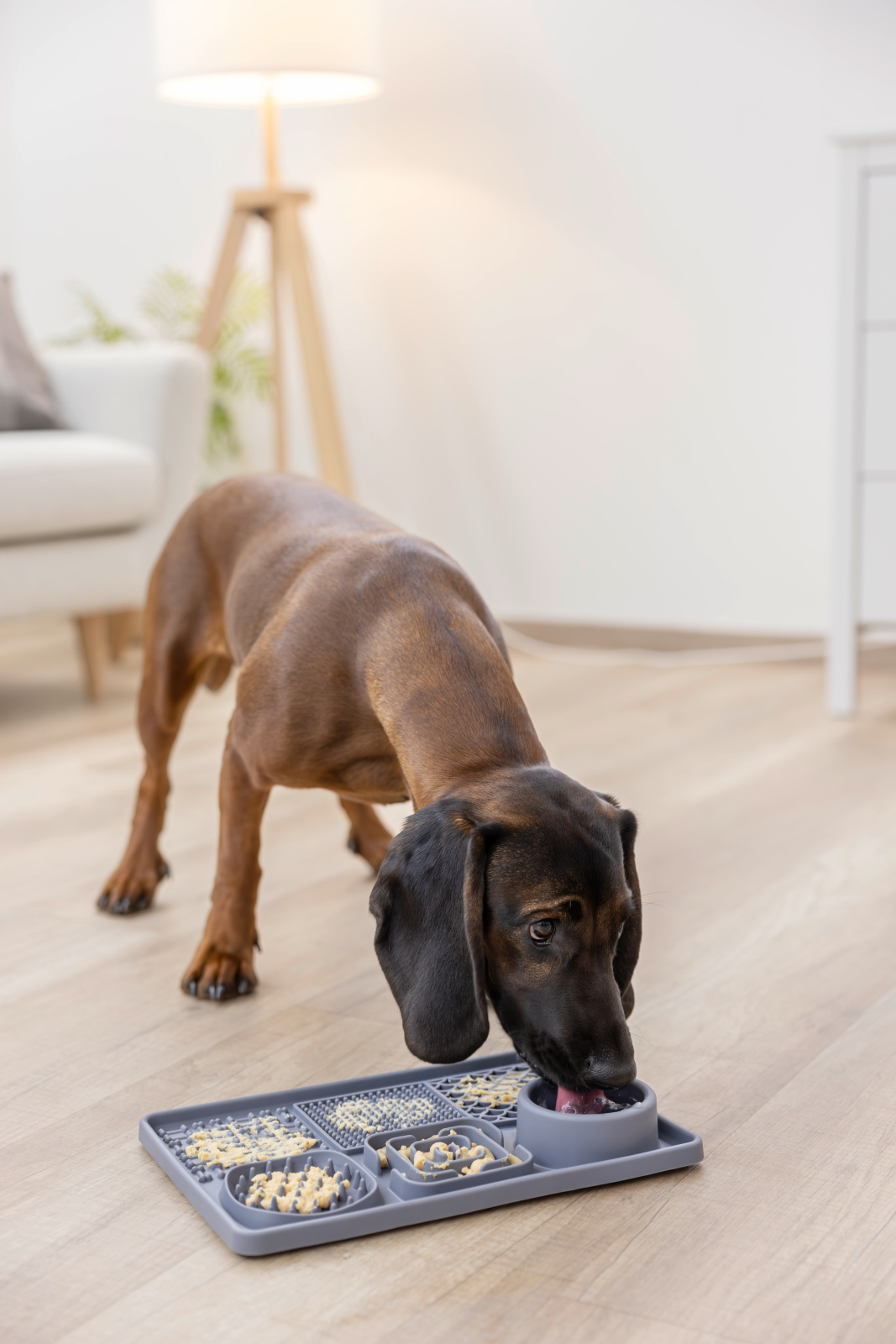 Kerbl Pet Dog Bowls Lick Mat XL tappetino silicone ventose