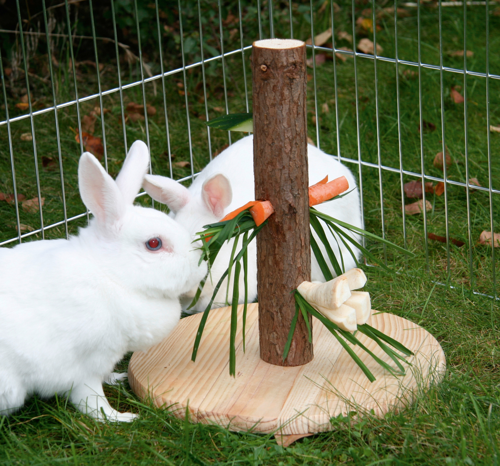 Kerbl Pet Feed Tree Nature albero porta cibo roditori legno 3 fori