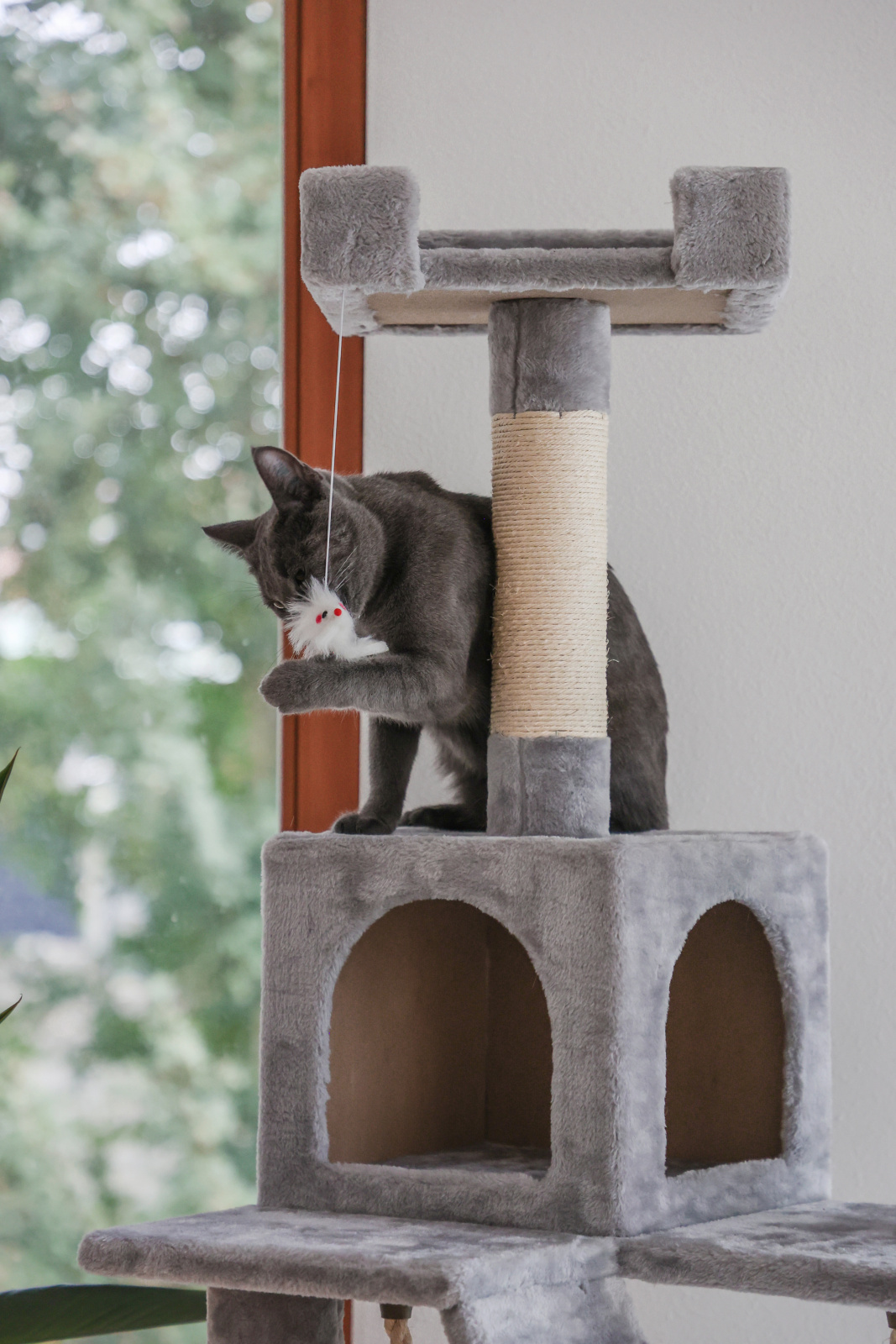 Kerbl Pet Square Albero Tiragraffi Gatto Sisal Multilivello