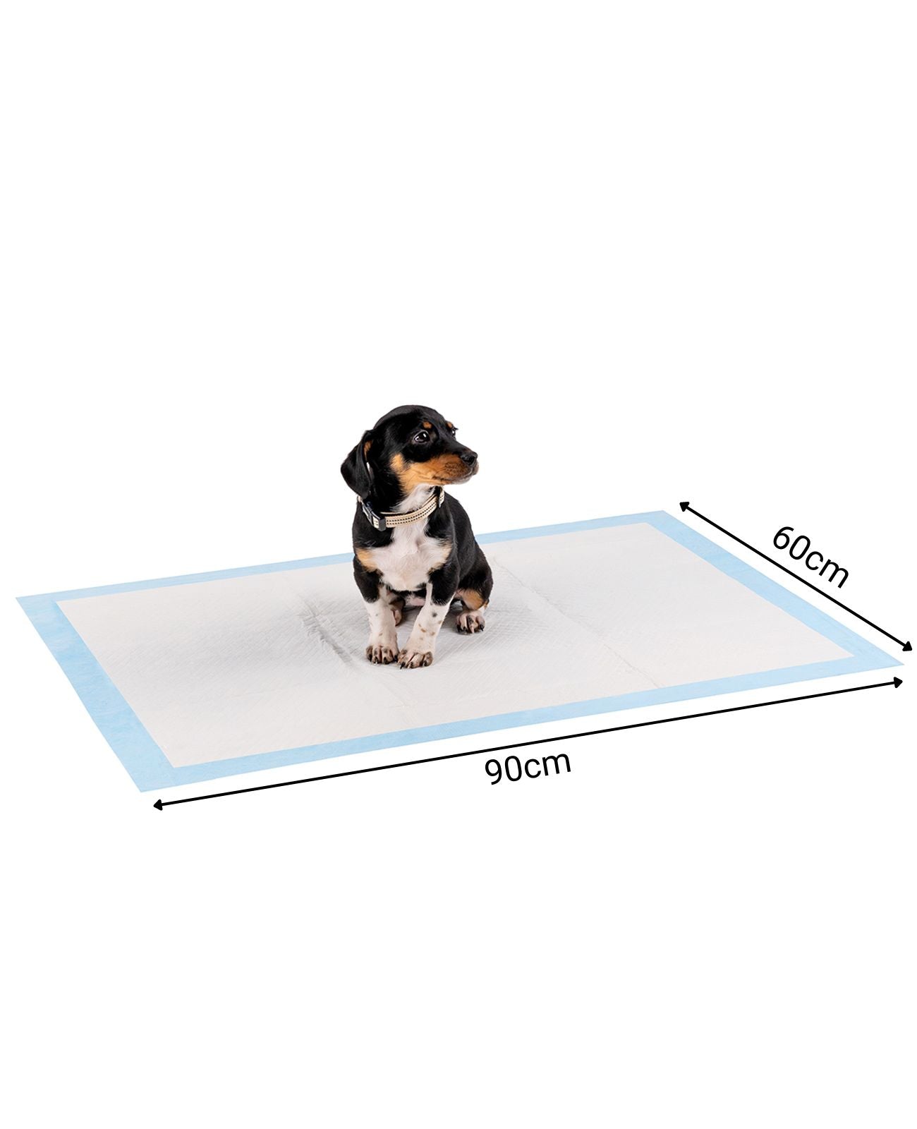 Lionto traverse cane assorbenti 60x60 cm 50 pezzi 6 strati