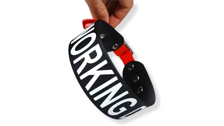 Toscani Waterproof Collare Cane Personalizzato con Nome