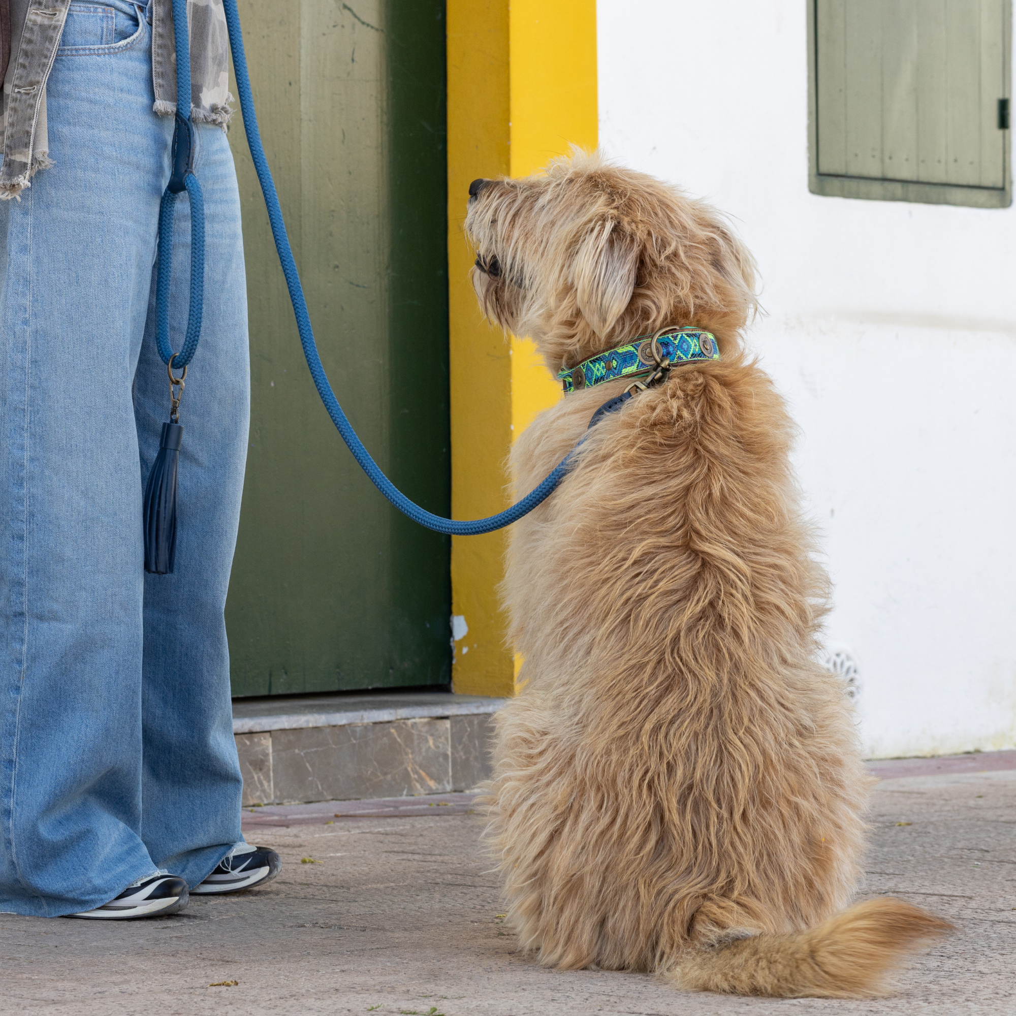 Dog with a Mission Classic Atlantic guinzaglio corda L 155 cm blu