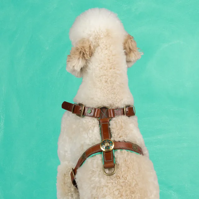 Dog with a Mission Rock pettorina cane pelle marrone L 63-76 cm