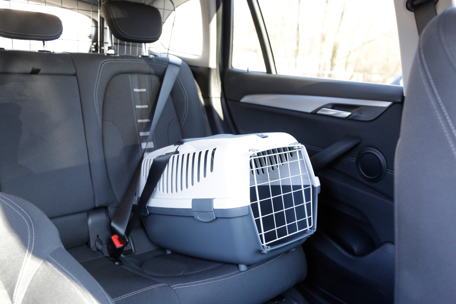 Kerbl Dog Transport Gulliver trasportino cani gatti auto