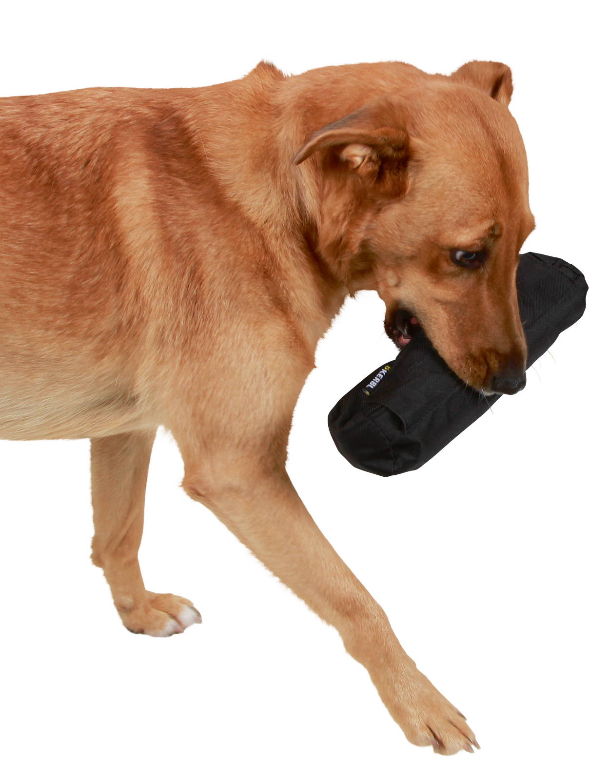 Kerbl Pet Snack Dummy sacchetto premi addestramento cane