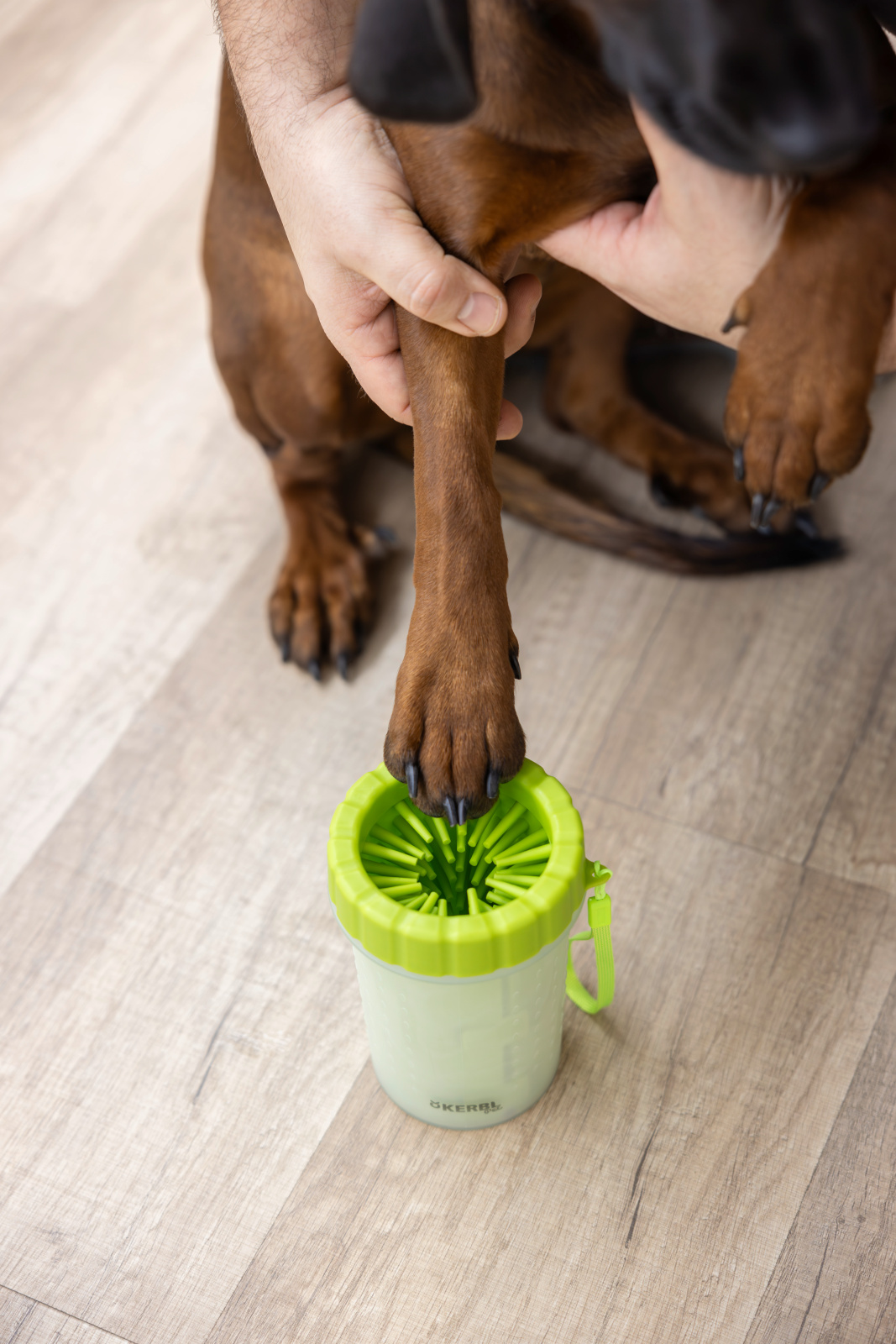 Kerbl Pet Dog Care Pulisci Zampe Cane con Setole TPR