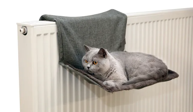 Kerbl Pet Cat Hammock Paradies amaca gatto calorifero