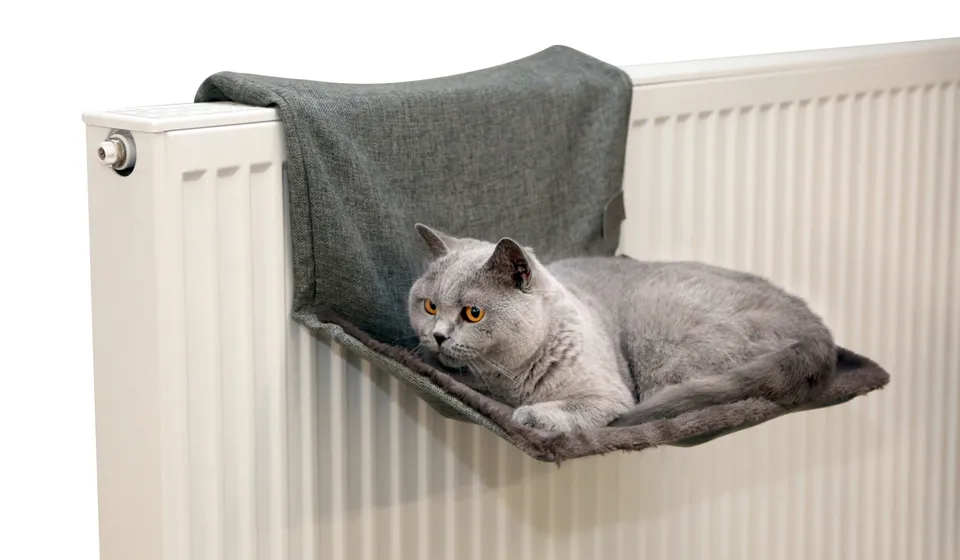 Kerbl Pet Cat Hammock Paradies amaca gatto calorifero
