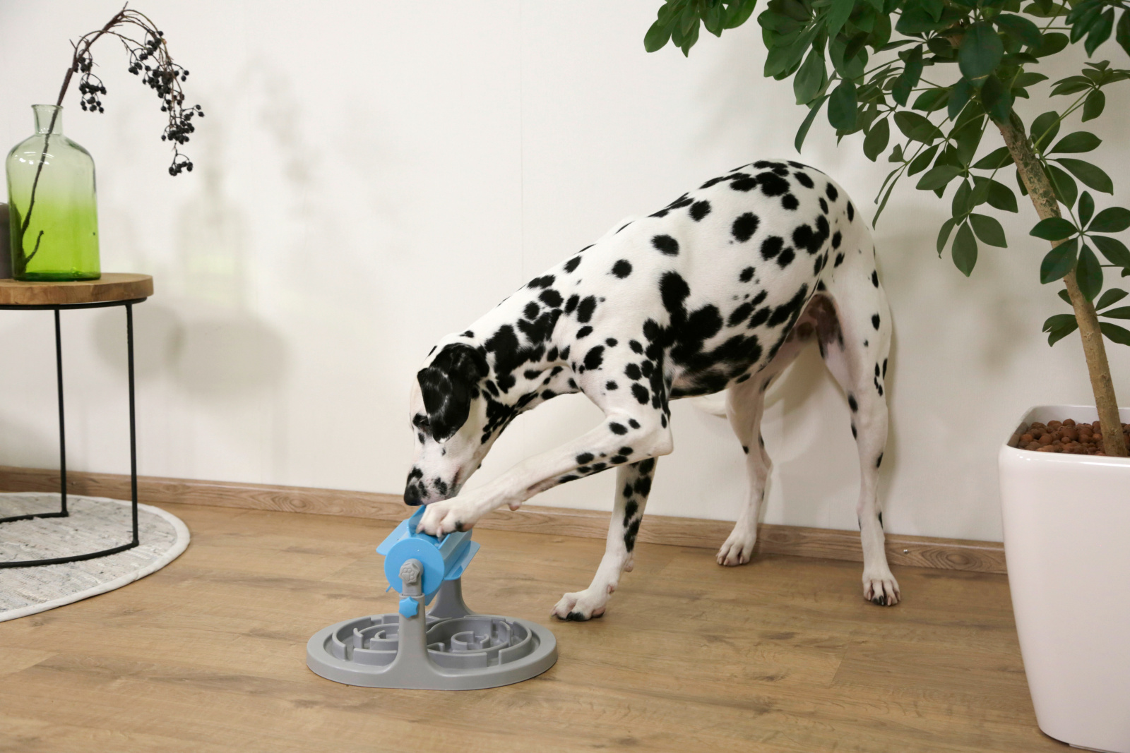 Kerbl Pet Snack Roll Anti-Schling gioco snack per cani