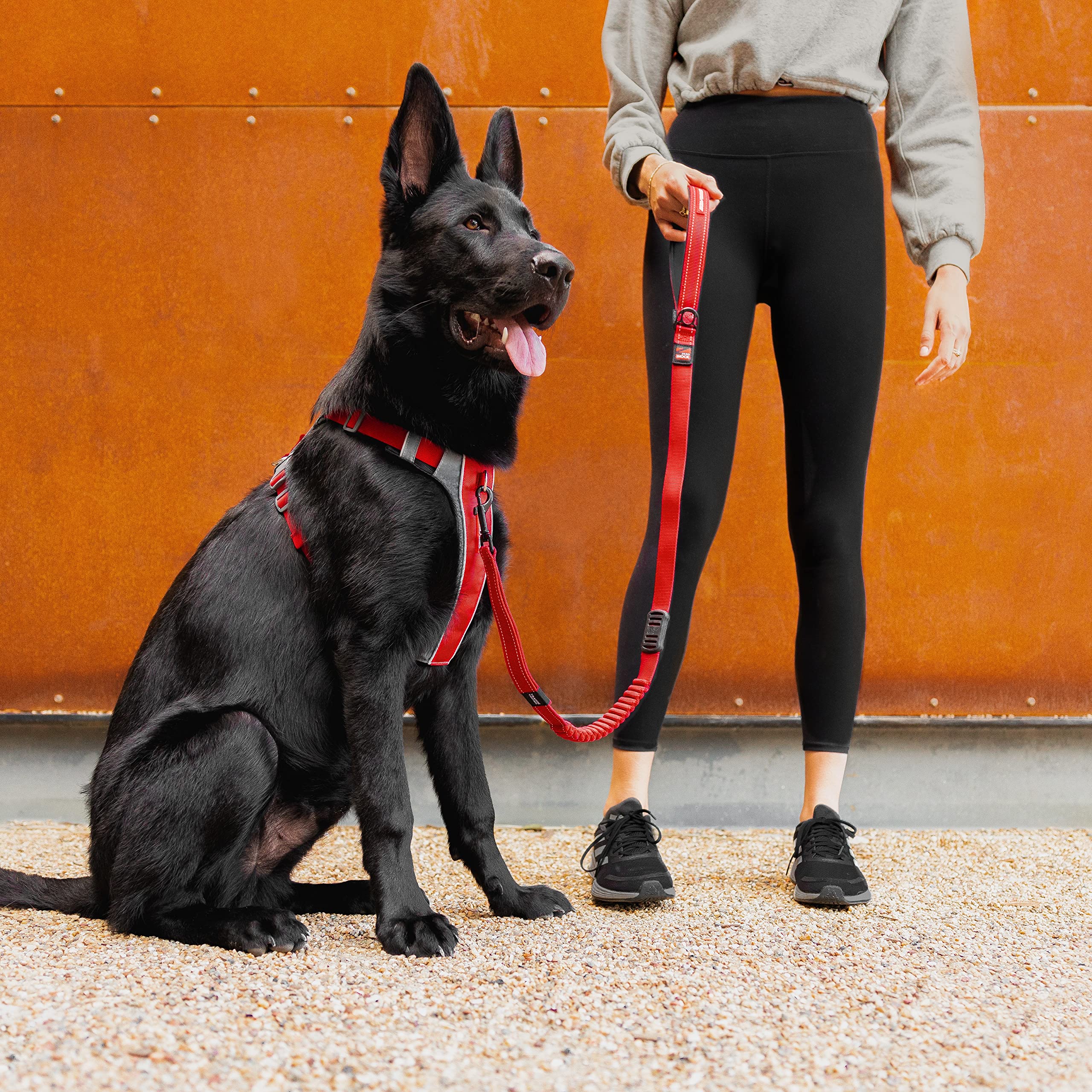 EzyDog X-Link pettorina per cani S verde oliva anti-tiro