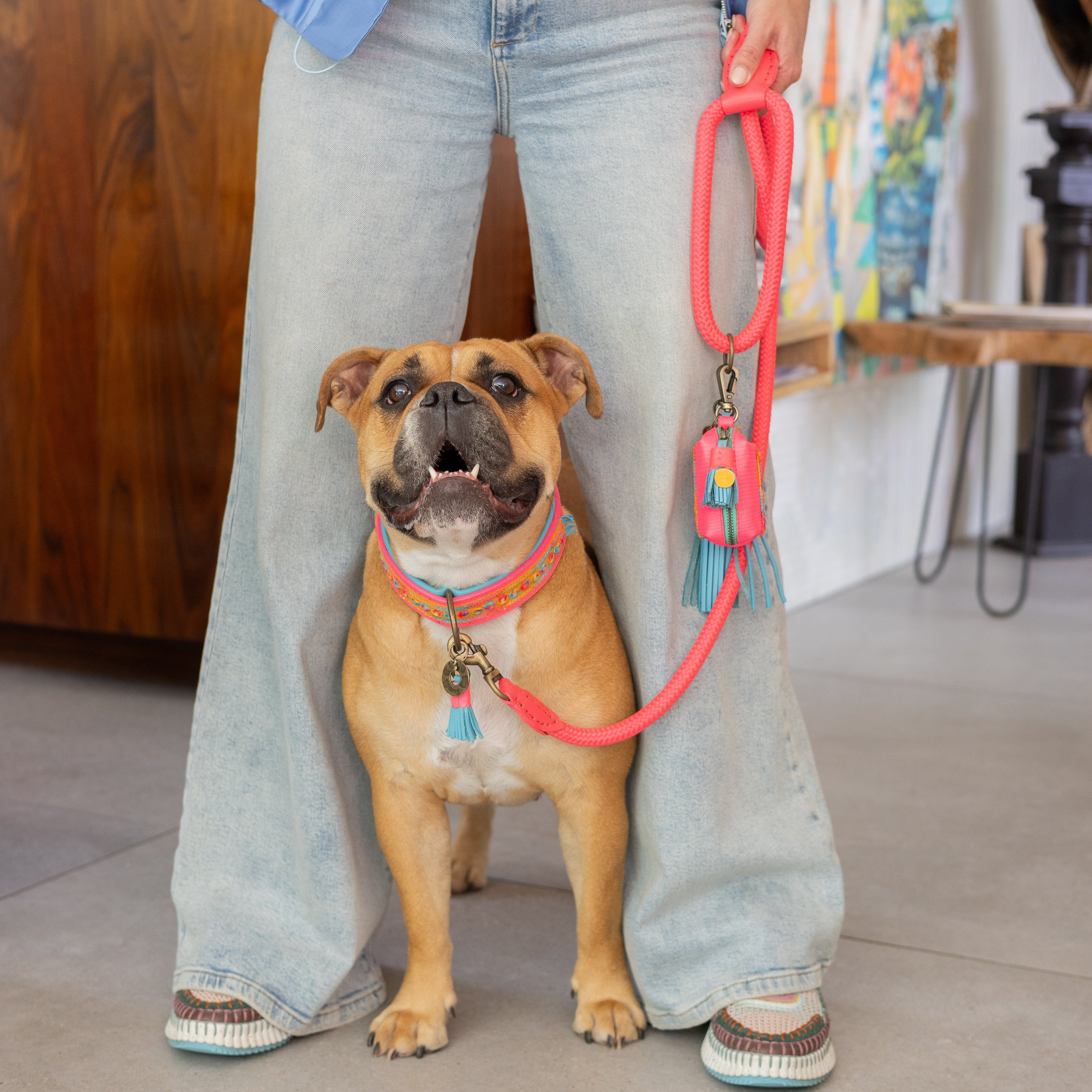Dog with a Mission Indian Summer collare multicolor XXL 58-65 cm