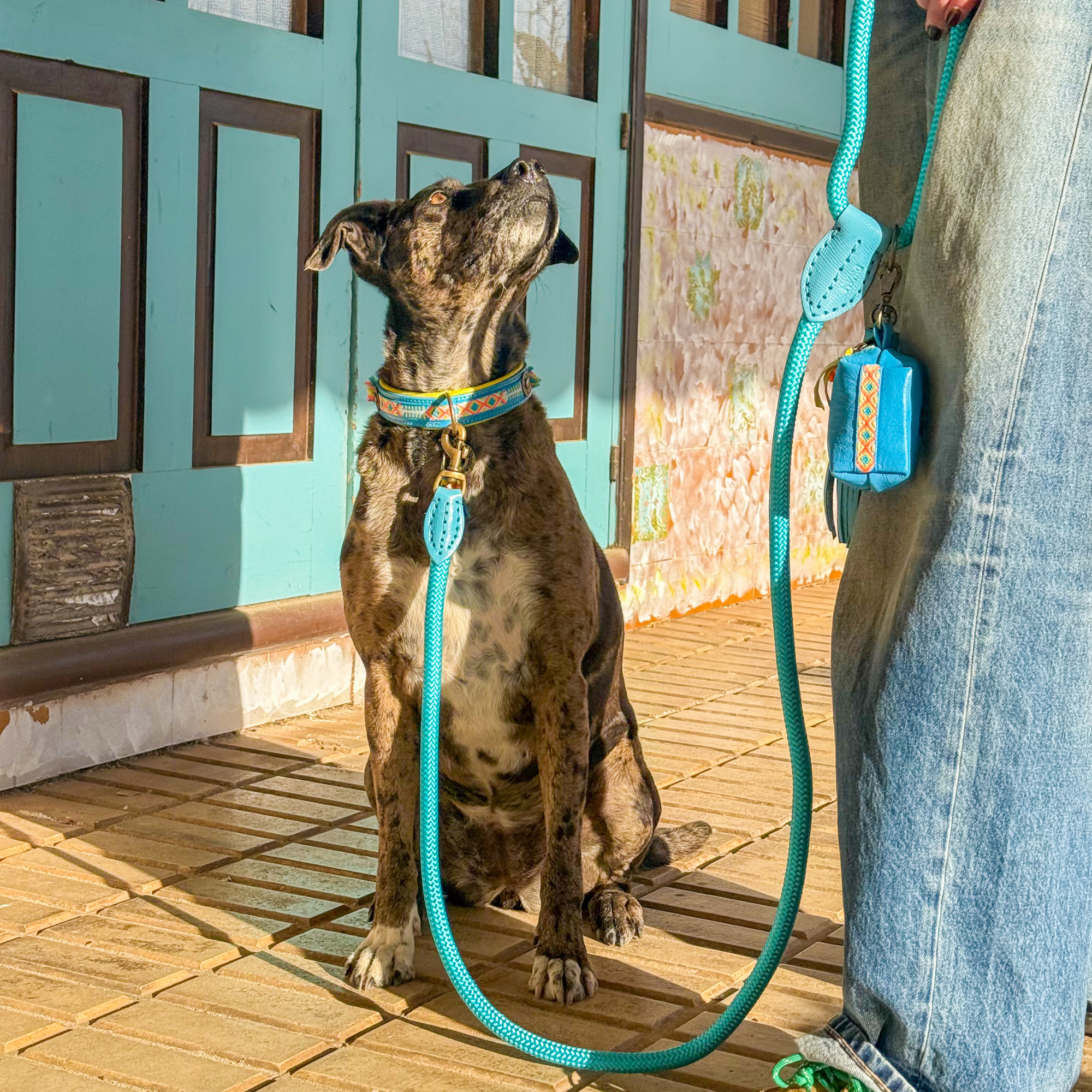 Dog with a Mission Aloha Porta Sacchetti Cane Blu Oceano