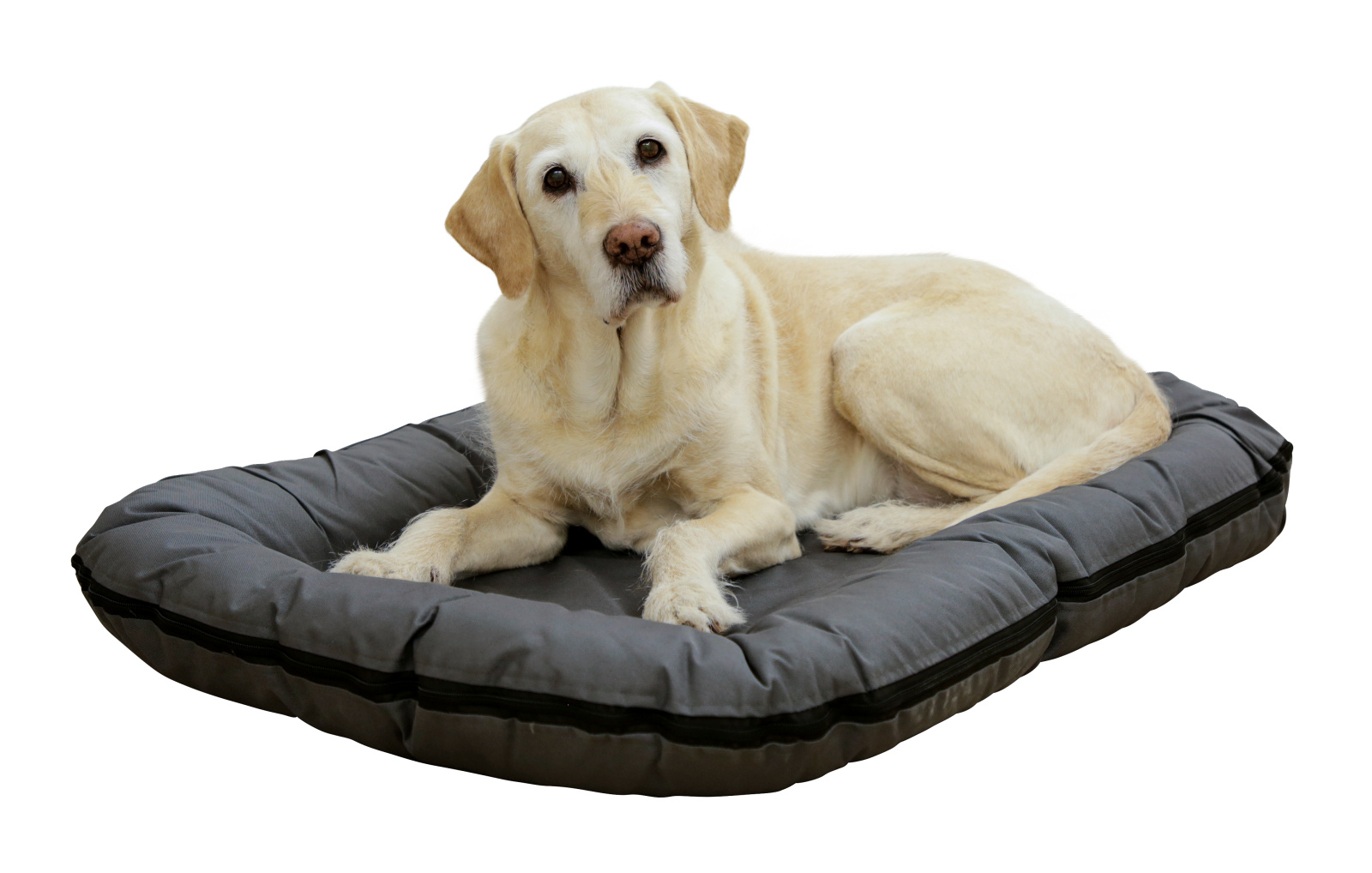 Kerbl Dog Rest Oxford Place cuscino cani sfoderabile