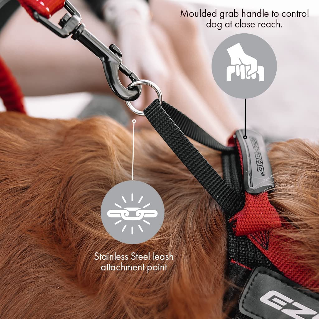 EzyDog Express pettorina per cani S rosso ergonomica