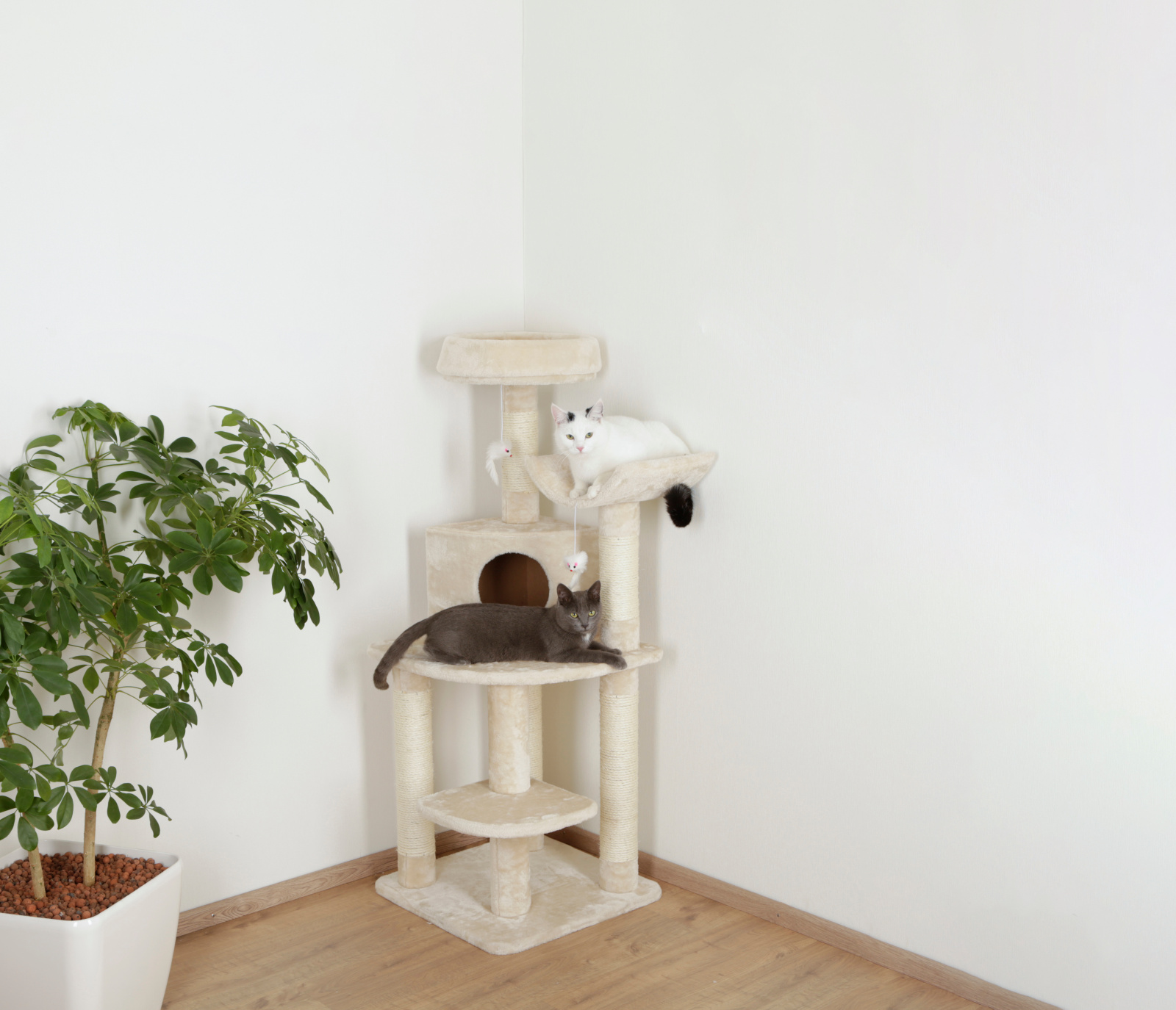 Kerbl Pet Zirkonia tiragraffi angolare gatto 5 colonne sisal