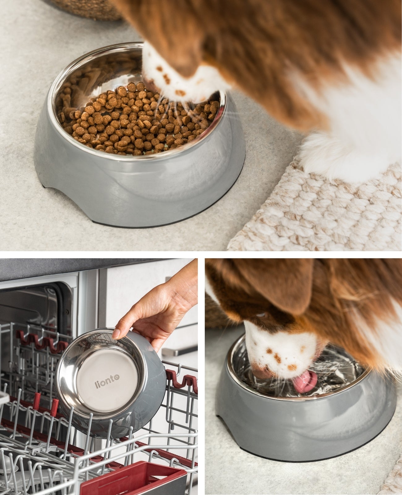 Lionto Hundenäpfe Ciotola Cane Acciaio Grigia 420 ml
