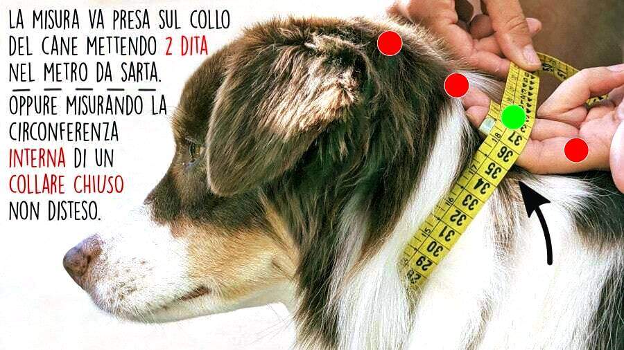Toscani Waterproof Completo nazionale italiana collare guinzaglio