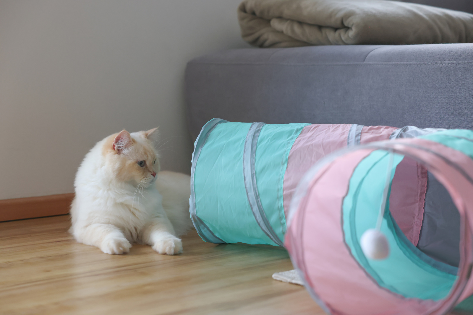 Kerbl Pet Tunnel Triangle giocattolo gatto 4 ingressi pieghevole