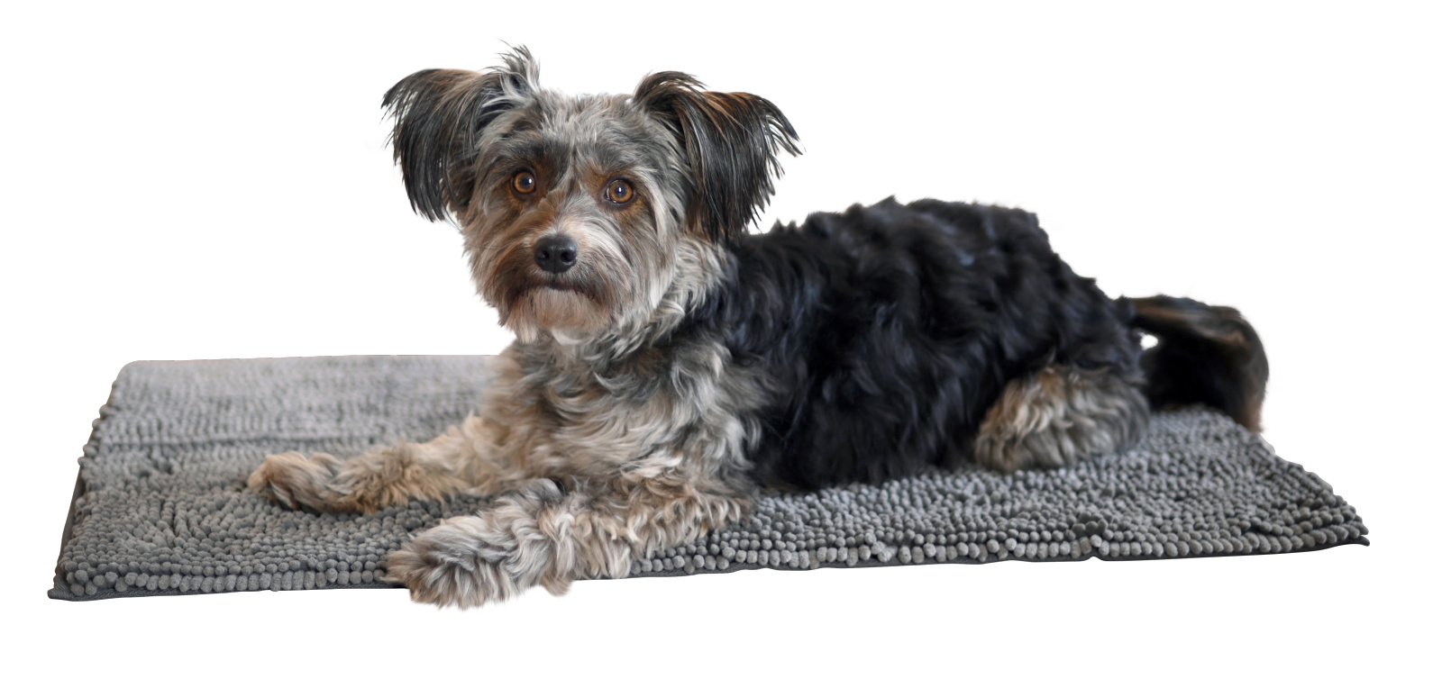 Kerbl Pet SuperBed Doormat tappeto cane microfibra assorbente