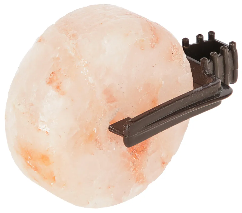 Kerbl Lick Stone Pietra da Leccare Sale per Roditori Staffa