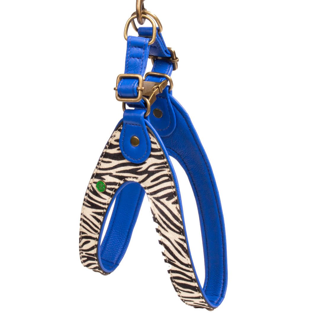 Dog with a Mission Dandy Pettorina Cane 8 Zebra Pelle