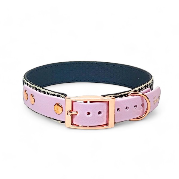 Toscani Vasari Collare per Cani Nero Lurex Oro Rosa
