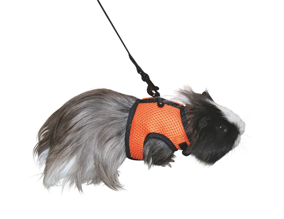 Kerbl Pet Rodent Harness Sport pettorina coniglio mesh guinzaglio