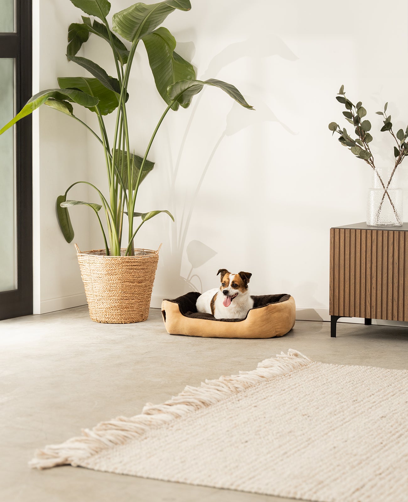 Lionto Hundebetten Hundebett Cuccia Cane Beige 75x60x19 cm