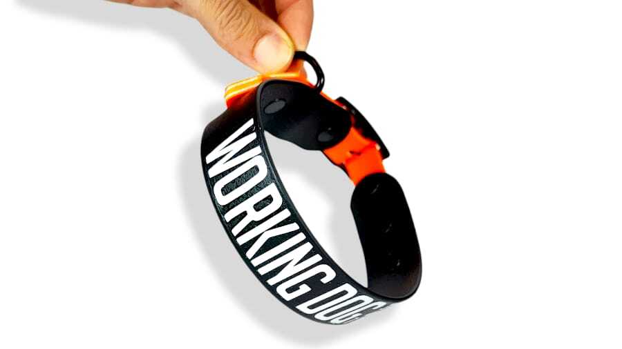 Toscani Waterproof Collare Cane Personalizzato con Nome