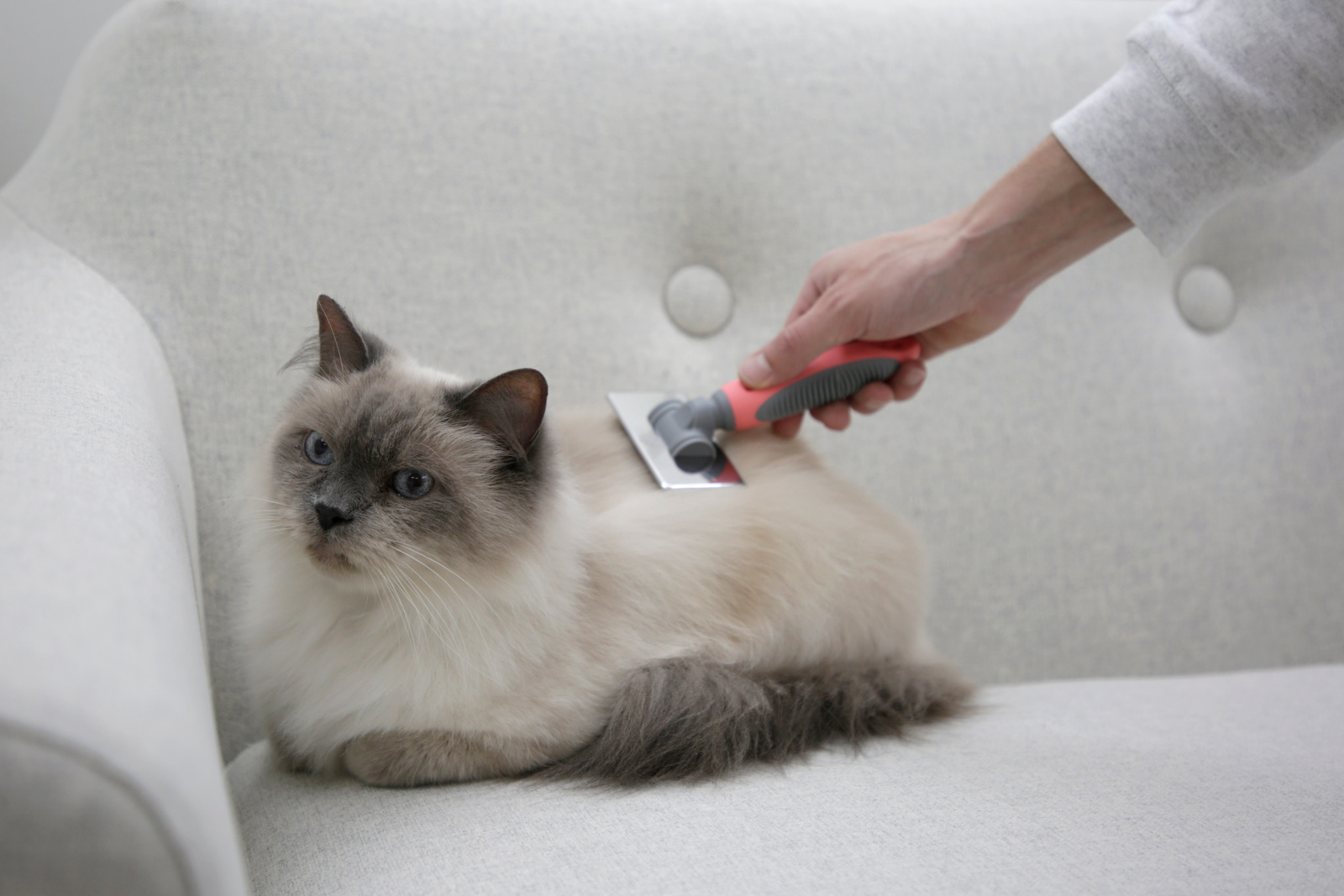 Kerbl Pet Cat Care Soft Slicker Brush spazzola gatto sottopelo