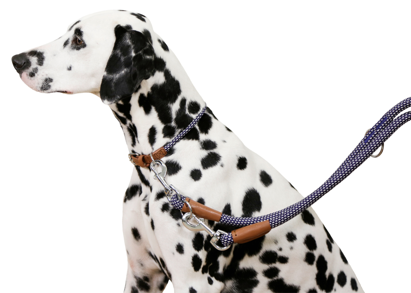 Kerbl Phoenix collare cane rotondo nylon ecopelle fibbia