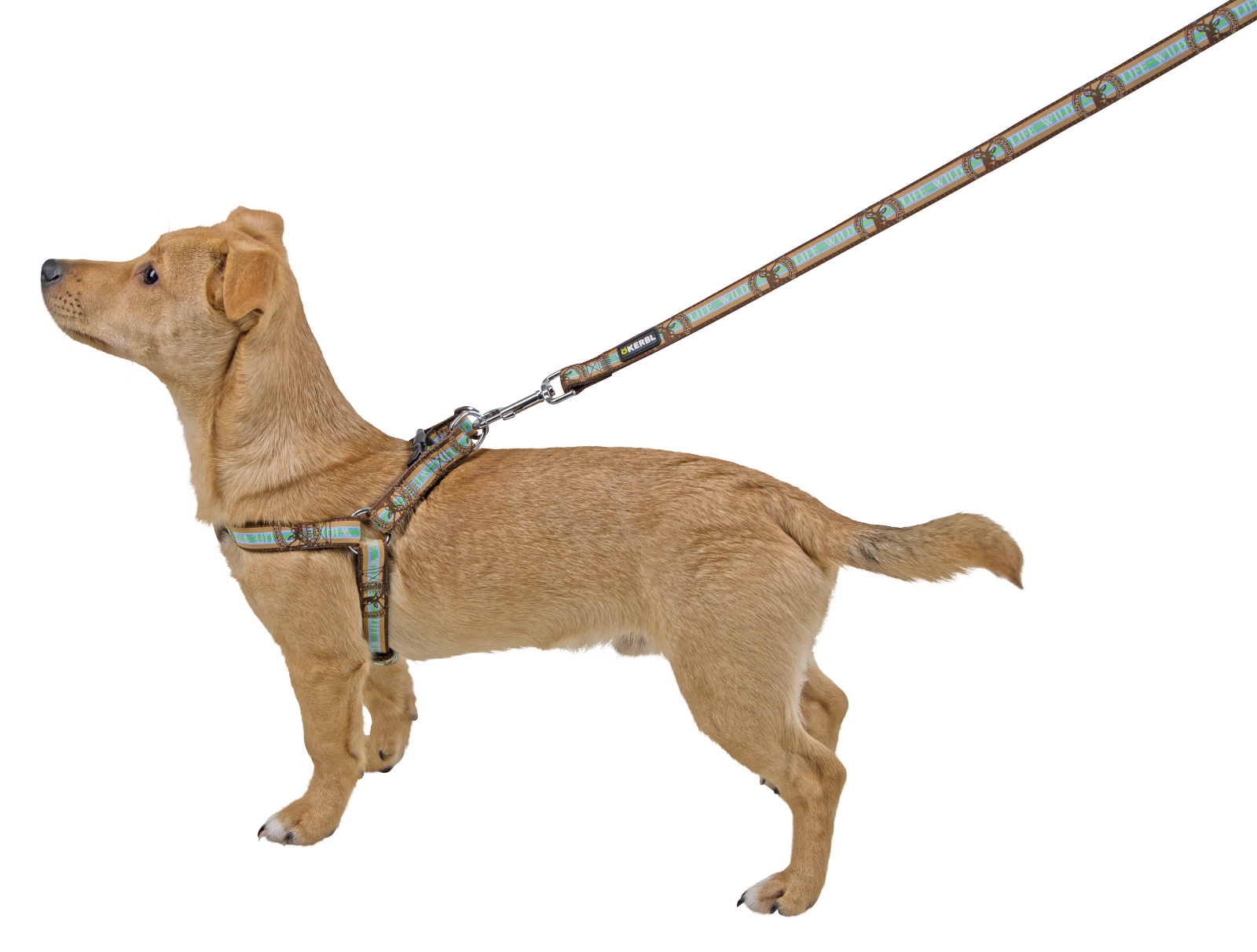 Kerbl Pet Harness Wild Life pettorina cane nylon regolabile