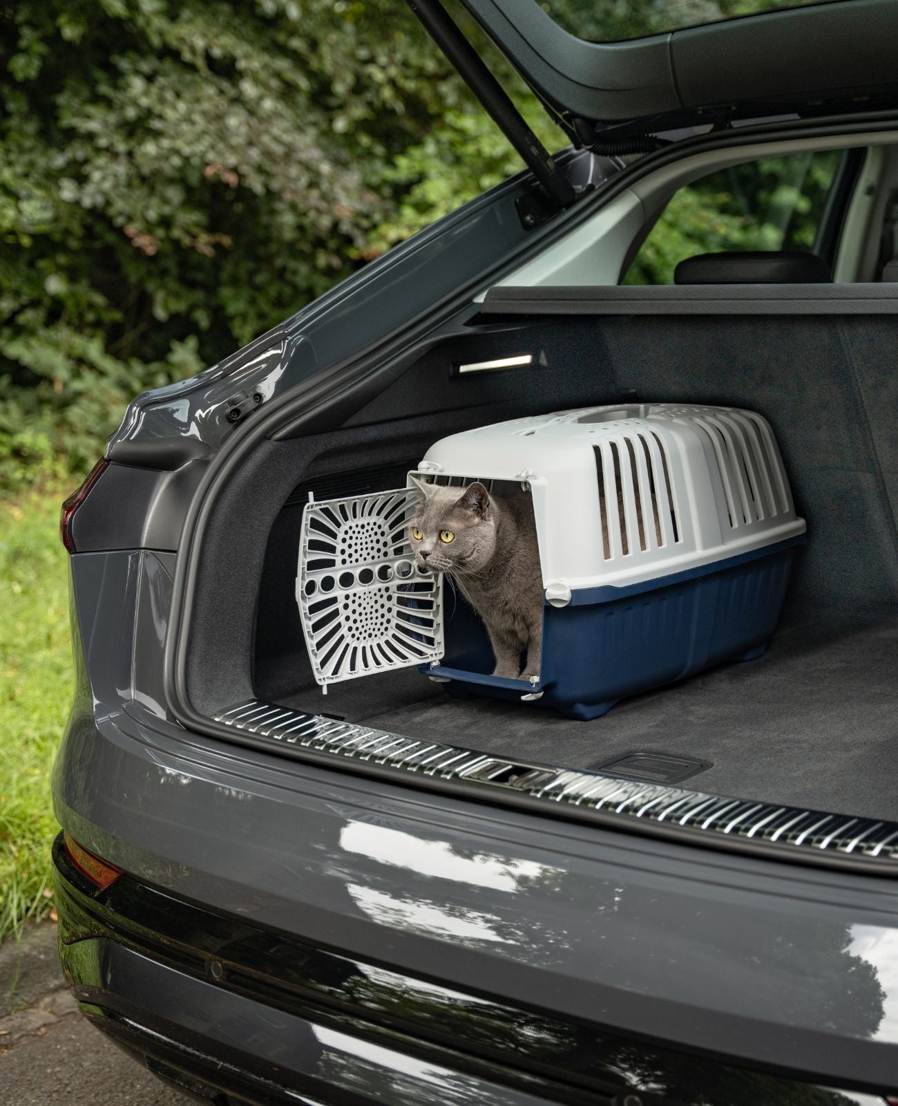 Lionto Katzentransportboxen trasportino gatto 55x36x36 antracite
