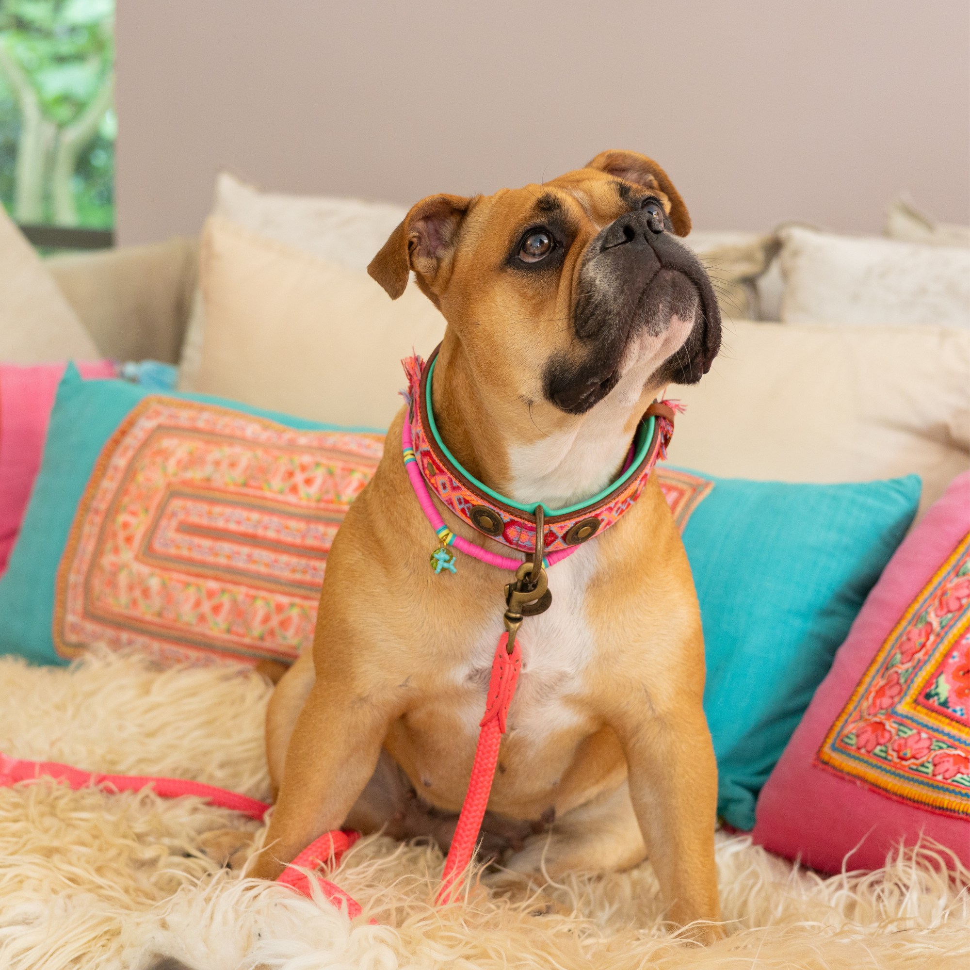 Dog with a Mission Boho Rosa collare cane pelle XL rosa 48-57 cm