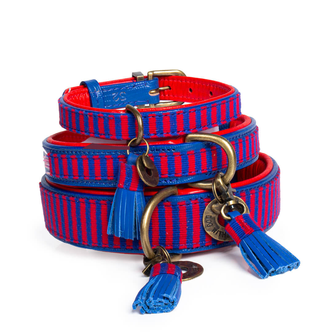 Dog with a Mission Mr Clooney collare cane XXS righe 22-24 cm