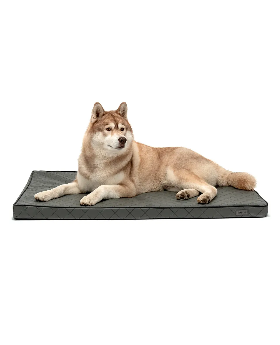 Lionto Hundematte 80x55 cm materassino ortopedico cani memory