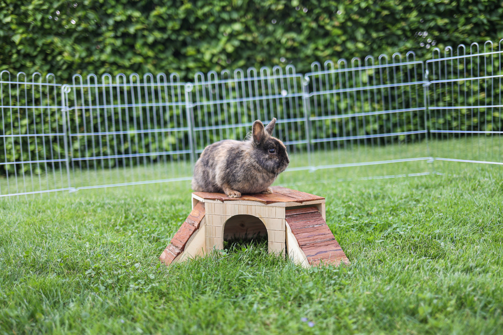 Kerbl Pet Rodent Cabin casetta legno roditori 2 rampe