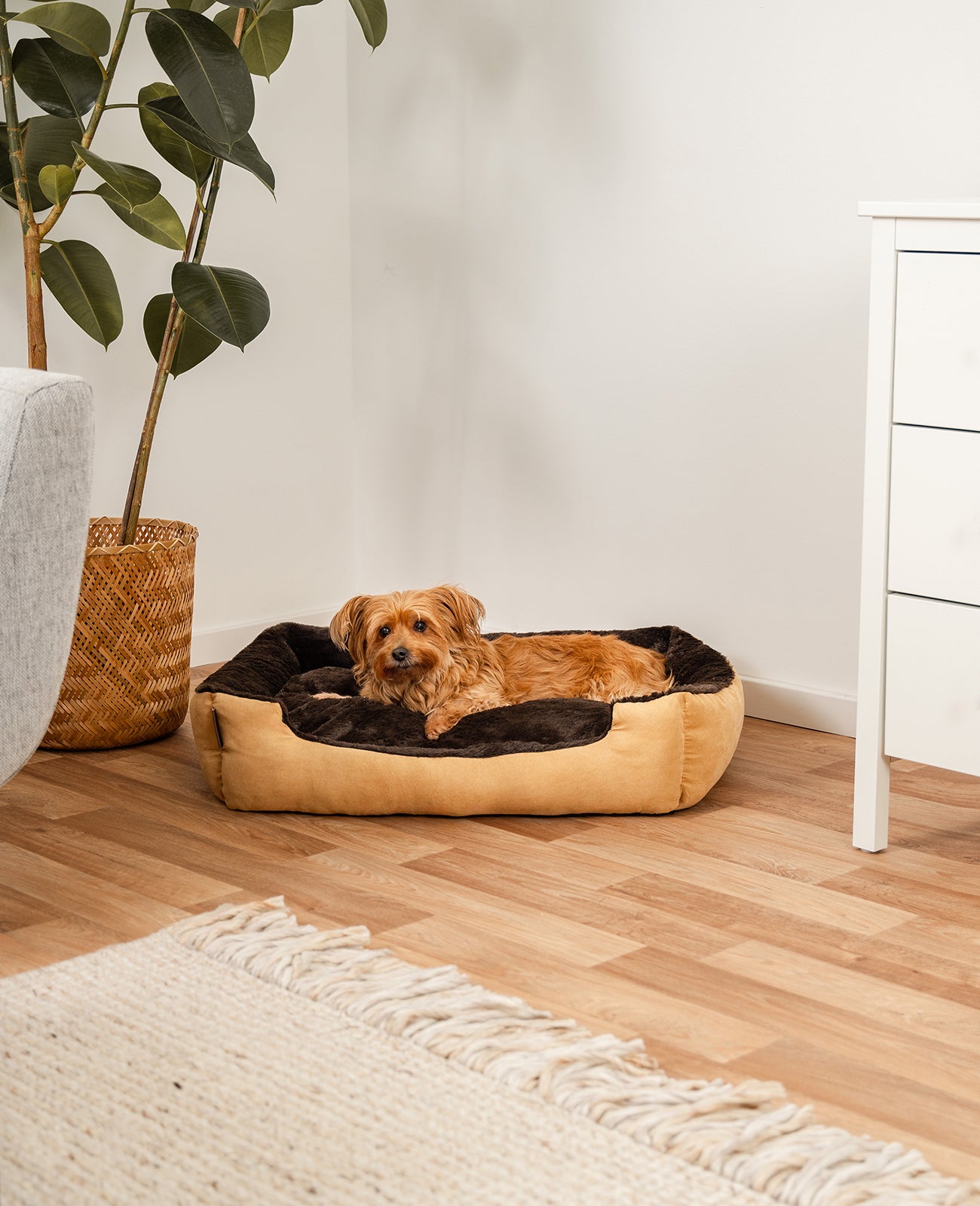 Lionto Hundebetten Hundebett Cuccia Cane Beige 75x60x19 cm