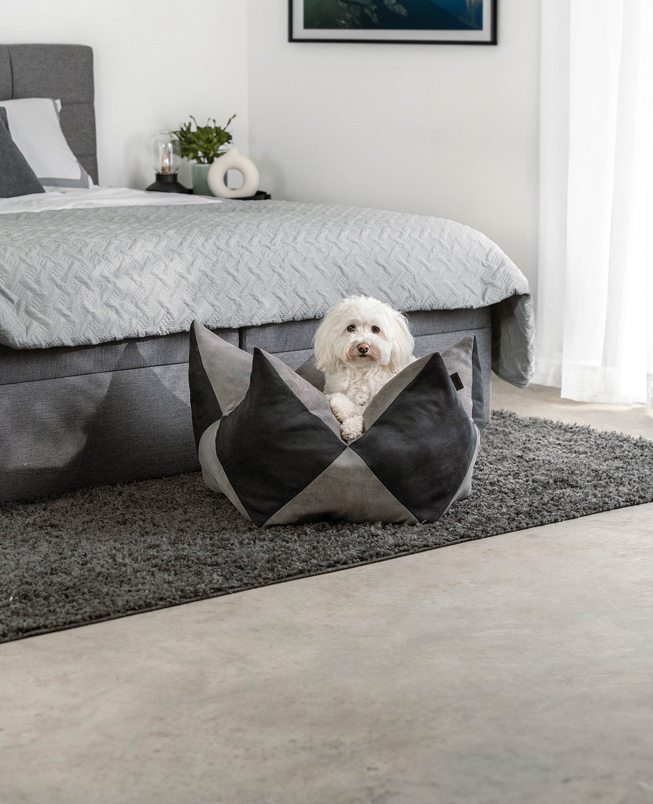 Lionto Hundebetten cuccia corona 60x35 cm grigio antiscivolo