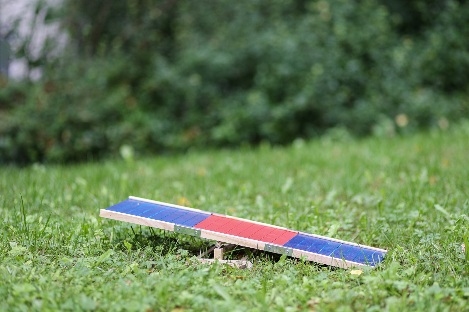 Kerbl Rodent Agility Rocker Agility bilanciere gioco roditori