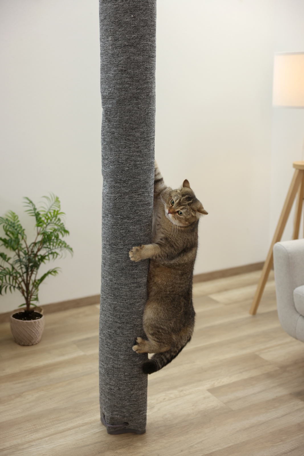 Kerbl Pet Climbing Bag Tiragraffi Gatto Sacco Tappeto Poliestere Soffitto